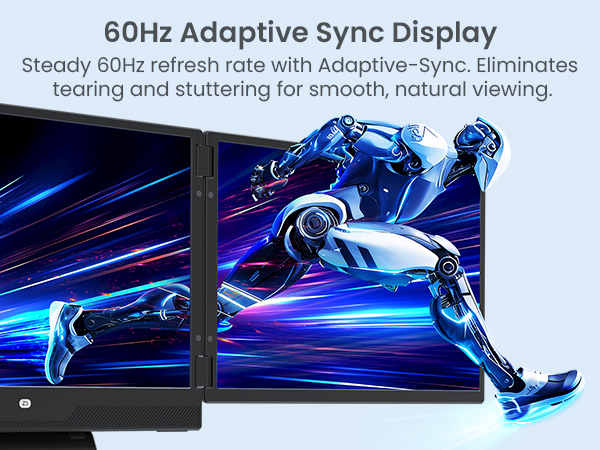60Hz Adaptive Sync Display