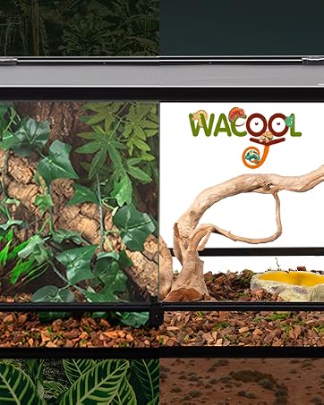 WACOOL Brand