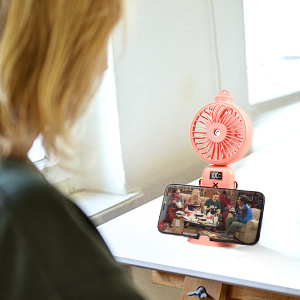 handheld fan 