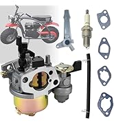 QYMOTO Coleman CT200U CT200U-ex Carburetor with Spark Plug,Huayi P19 Carb for Axis M200, BT200X,B...