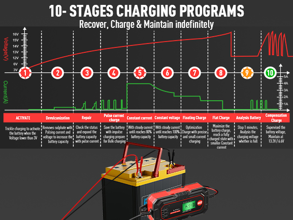 cargador de carro cargador de bateria