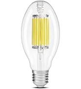 ALAMPEVER ED28 LED Light Bulb 175W HID Equivalent, 6000LM High Brightness, 4000K Cool White, E39 ...