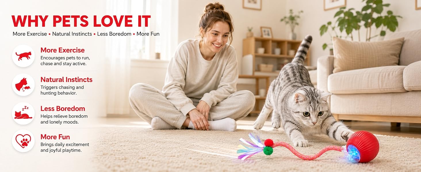 cat toys