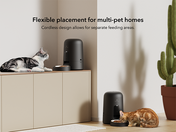 automatic cat feeder