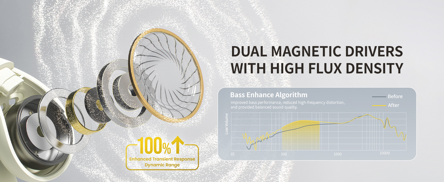 dual magnetic driver