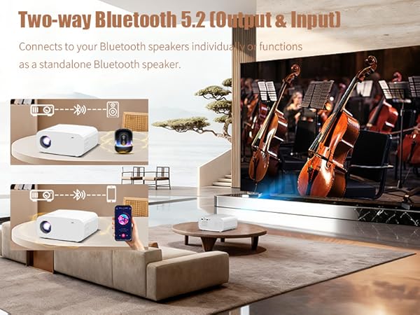  Mini Projector