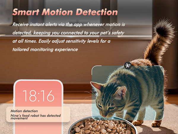 Motion Detection