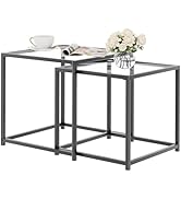 Garden 4 you Coffee Table Set of 2, Modern Glass Nesting Table, Metal Frame Square Center Table S...