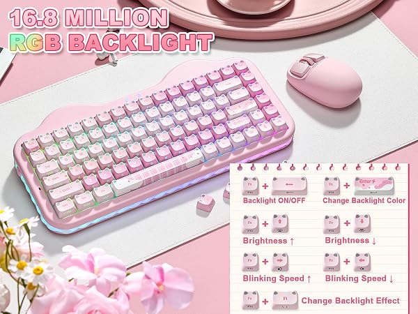 Text reads "16.8 MILLION RGB BACKLIGHT" and "Change Backlight Effect". Pink and white compact mechanical keyboard with mouse on pink surface, RGB backlight demonstration grid shown below.