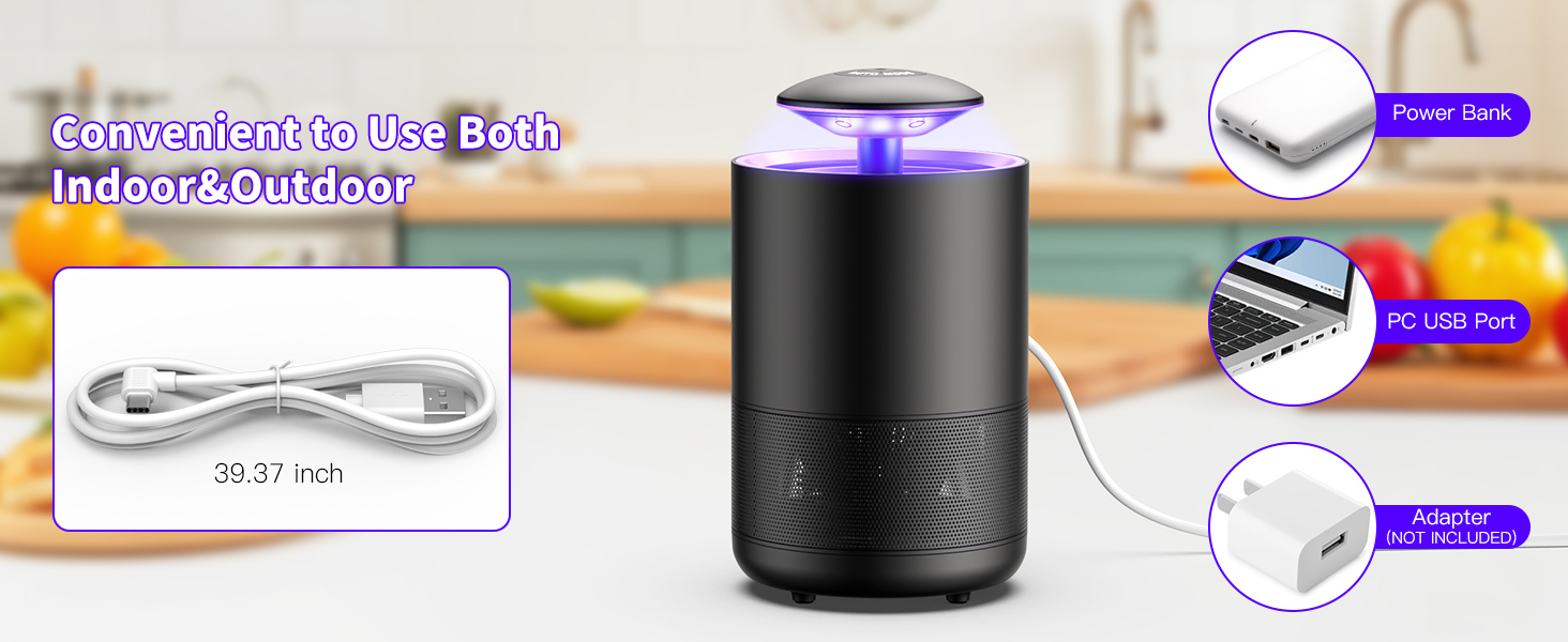 gnats trap kitchen 