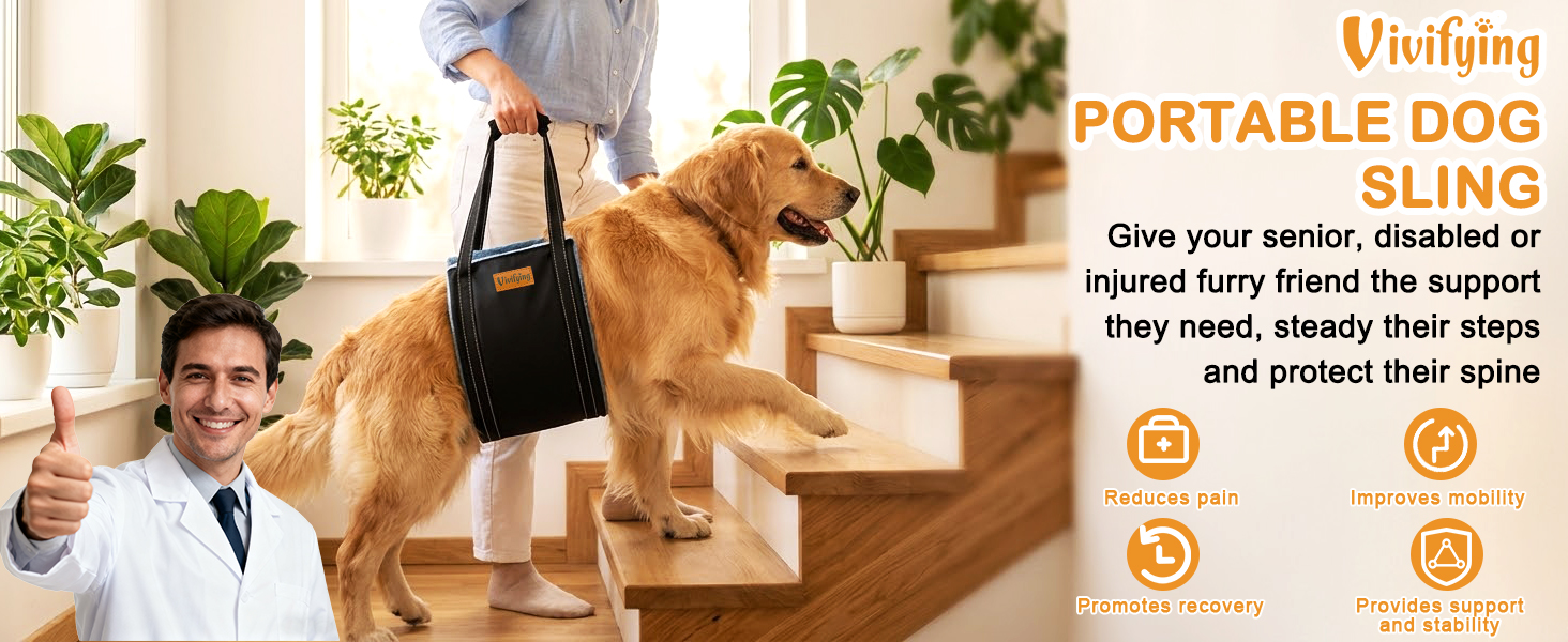 Dog Lift Harness