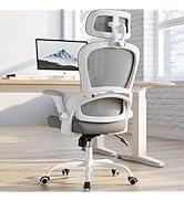 TRALT Office Chair - Ergonomic Office Chair with Back Support, Computer Chair - Home Office Desk ...