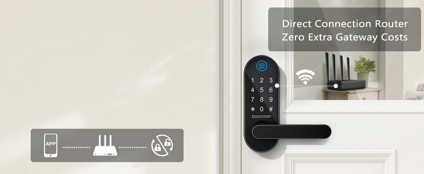 WiFi door lock