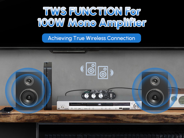 ZK-1001U Mono Amplifier Board Bluetooth 5.3 with TWS