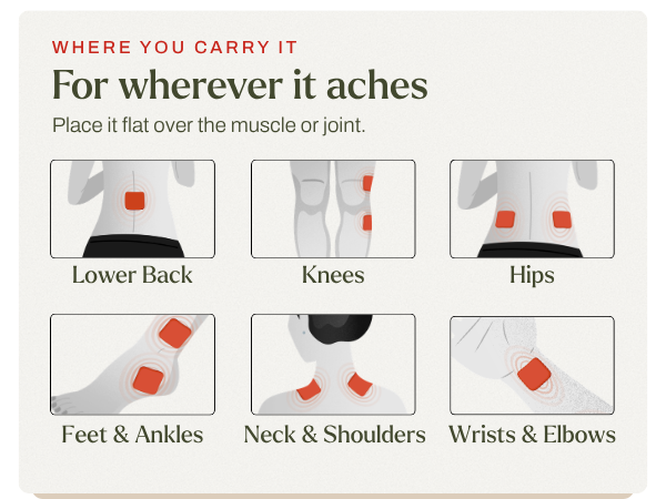 Guide