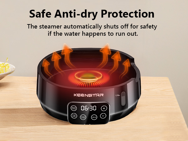 eletric food steamer