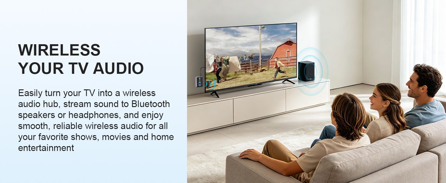 Transmitter Receiver for TV
