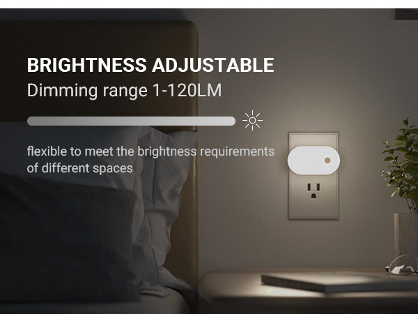 adjustable brightness night light