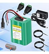 Mspalocell 24V 3.0Ah Lithium Battery, 24V Rechargeable Li-ion Battery with Charger, Bare Leads Wi...