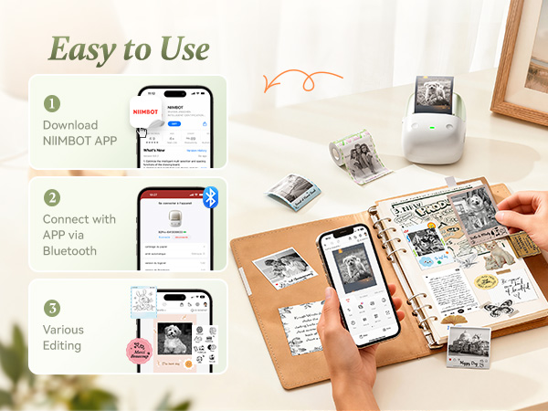 NIIMBOT Easy to Use B2 Pro Bluetooth Sticker Printer