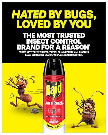Bugs Hate Raid