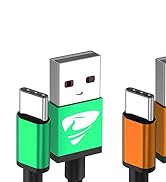 Aioneus