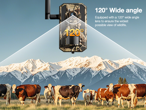 celluar trail cameras