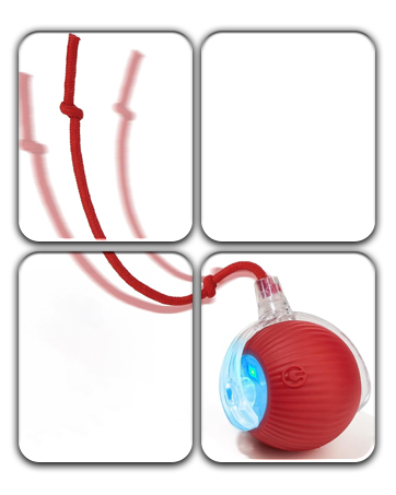 interactive cat toy