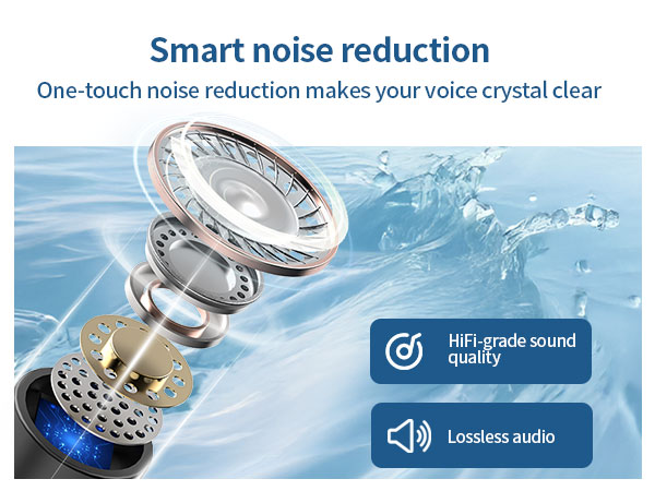 Studio-Quality Sound Mic