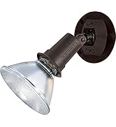 Satco SF76/521 One Light Outdoor Heavy Duty Cast Aluminum Durable Weather Proof Security Flood Li...
