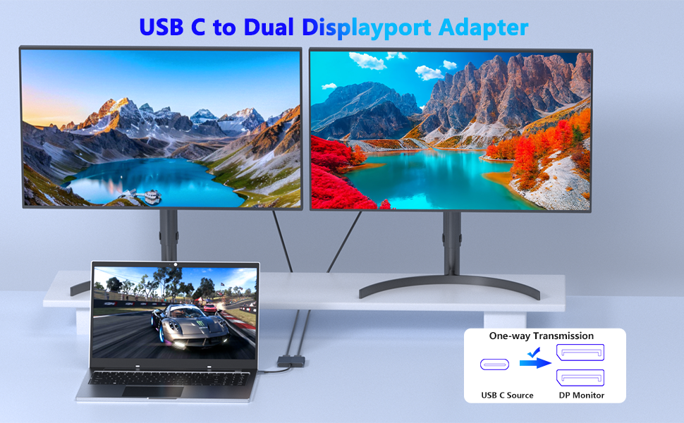 dual monitor adapter