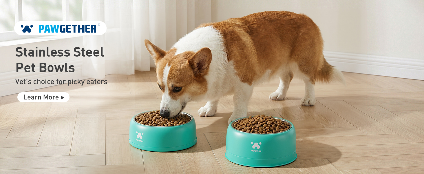 automatic dog feeder