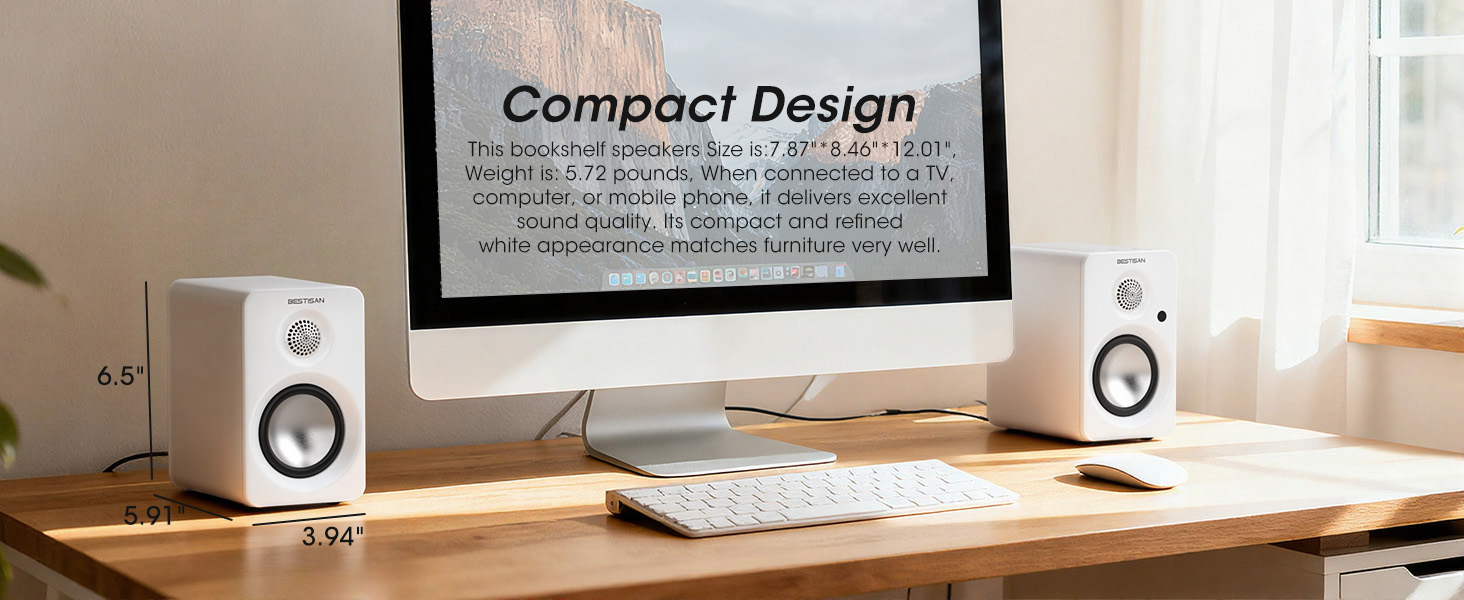 record player speakers