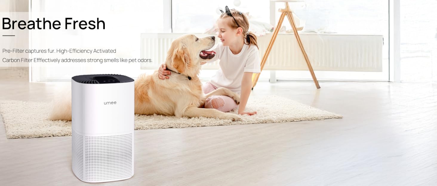 Air Purifier