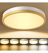 Flush Mount Ceiling Light 12 inch