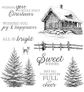 LZBRDY Winter Scene Clear Stamps and Dies Set for DIY Scrapbook Card Making
