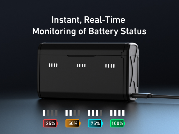 np bx1 battery charger set