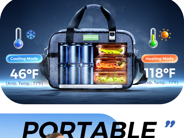Cooler &amp; Warmer Handbag