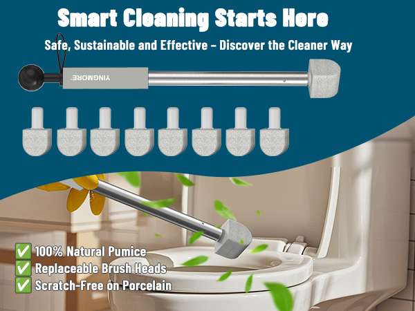 pumice stone toilet bowl cleaner