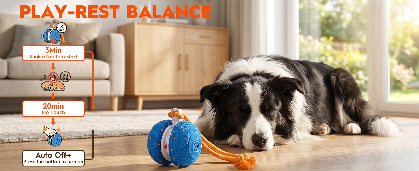 Interactive Rolling Dog Balls
