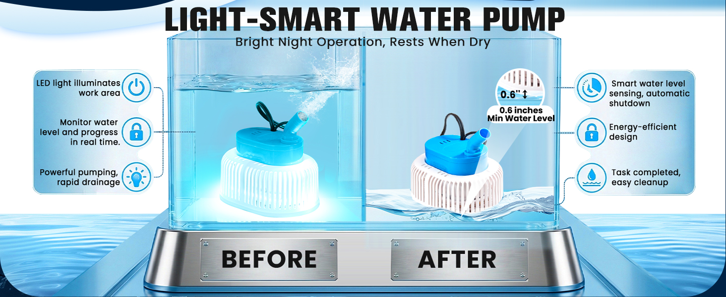 Sump Pump with Light