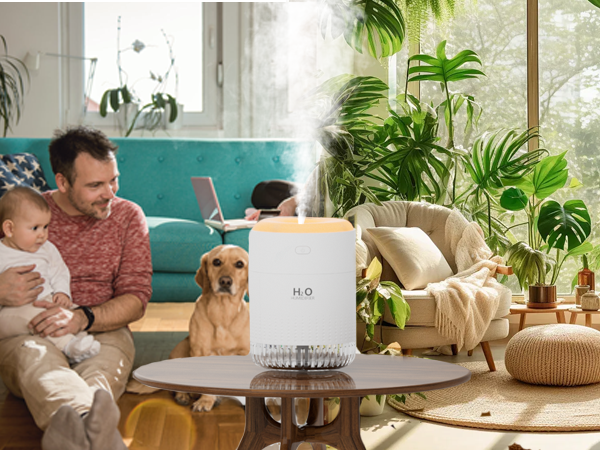 travel humidifier