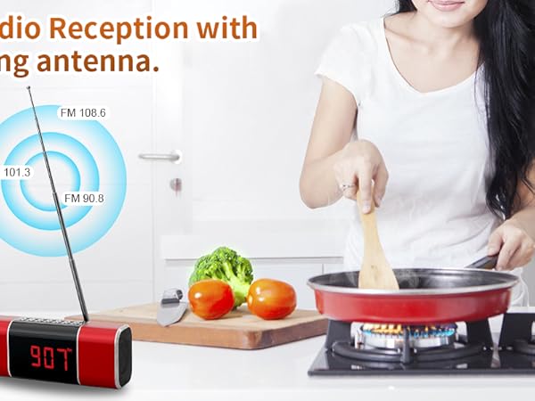 FM Radio Bluetooth Speaker