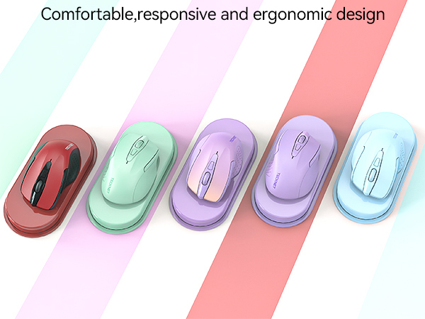 mouse