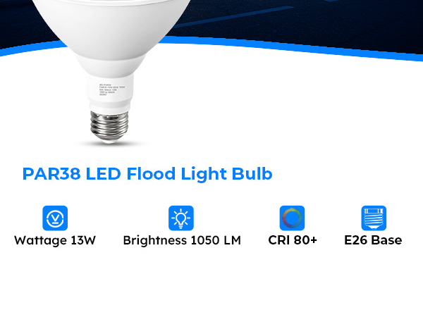 outdoor flood light bulb