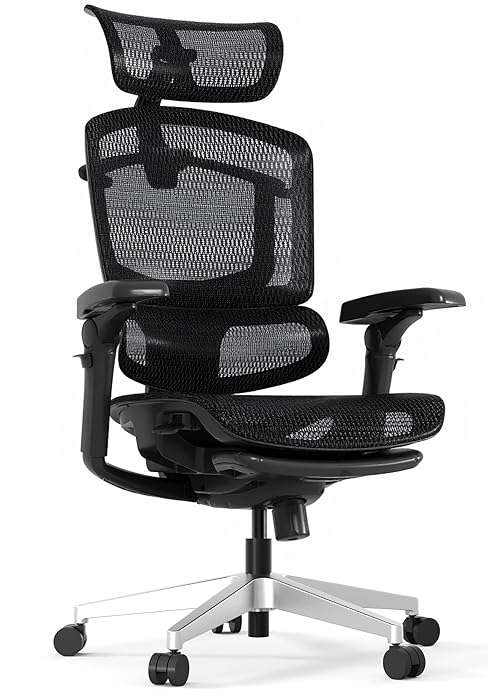 FlexiSpot ErgoX Pro
