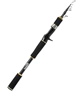 Jenseits Fishing Rods, Carbon Fiber Spinning &amp; Casting Poles, Saltwater Resistant Guides, 7'/8'/9...
