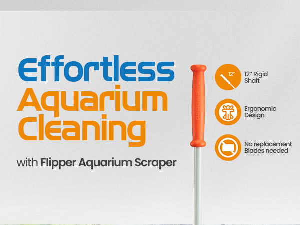 brown algae remover aquarium fish tank cleaner for scraper alge scrubber coralline aquariums