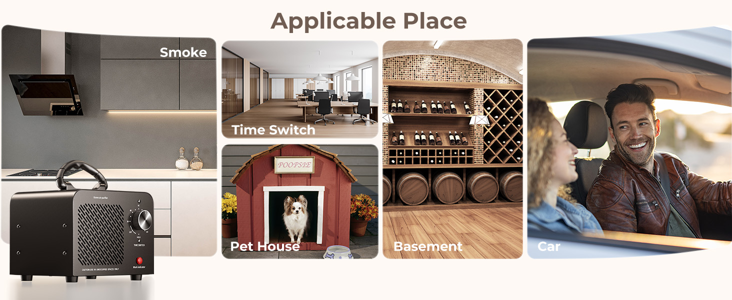 Ionizer Air Purifier Ozone for Home