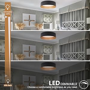 light fixtures ceiling mount